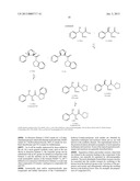 3-ARYL-3-HYDROXY-2-AMINO-PROPIONIC ACID AMIDES,     3-HETEROARYL-3-HYDROXY-2-AMINO-PROPIONIC ACID AMIDES AND RELATED     COMPOUNDS HAVING ANALGESIC AND/OR IMMUNO STIMULANT ACTIVITY diagram and image