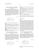 3-ARYL-3-HYDROXY-2-AMINO-PROPIONIC ACID AMIDES,     3-HETEROARYL-3-HYDROXY-2-AMINO-PROPIONIC ACID AMIDES AND RELATED     COMPOUNDS HAVING ANALGESIC AND/OR IMMUNO STIMULANT ACTIVITY diagram and image