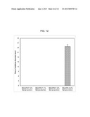 METHODS OF TREATING BACTERIAL VAGINOSIS WITH AQUEOUS-BASED METRONIDAZOLE     GEL FORMULATIONS diagram and image