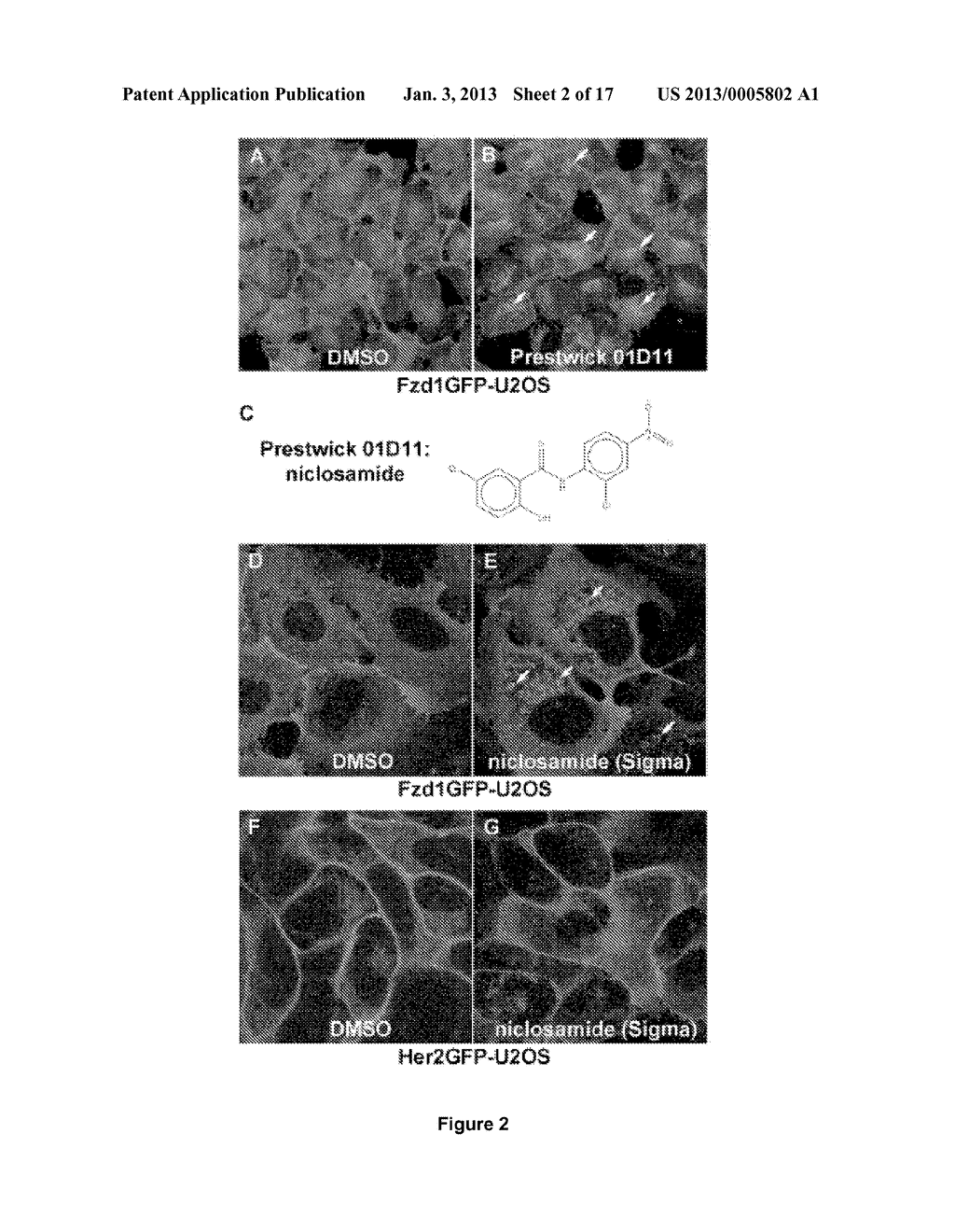 TREATMENT OF WNT/FRIZZLED-RELATED DISEASES - diagram, schematic, and image 03