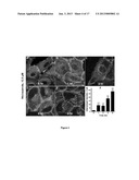 TREATMENT OF WNT/FRIZZLED-RELATED DISEASES diagram and image