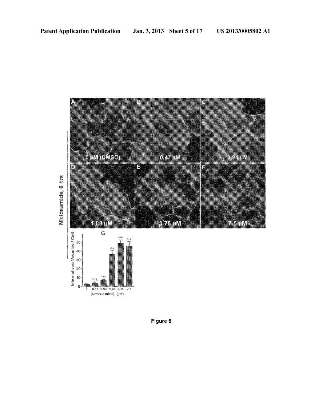 TREATMENT OF WNT/FRIZZLED-RELATED DISEASES - diagram, schematic, and image 06