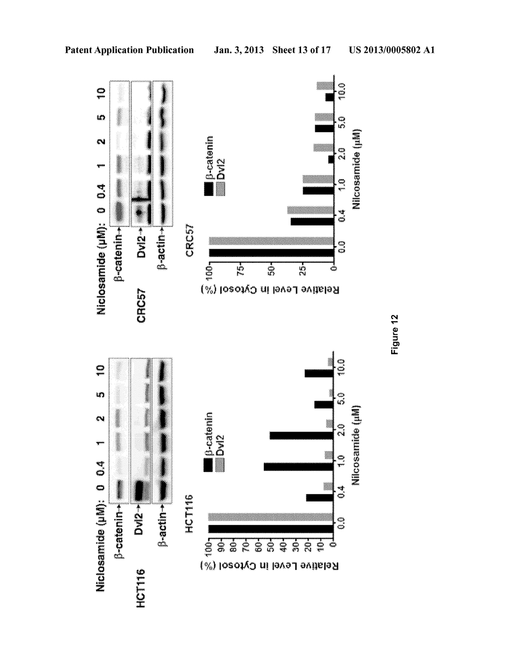 TREATMENT OF WNT/FRIZZLED-RELATED DISEASES - diagram, schematic, and image 14