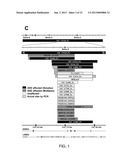 ANALYSIS OF TMLHE AND CARNITINE BIOSYNTHESIS FOR AUTISM DIAGNOSIS diagram and image