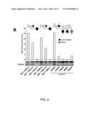 ANALYSIS OF TMLHE AND CARNITINE BIOSYNTHESIS FOR AUTISM DIAGNOSIS diagram and image