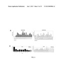 ANALYSIS OF TMLHE AND CARNITINE BIOSYNTHESIS FOR AUTISM DIAGNOSIS diagram and image