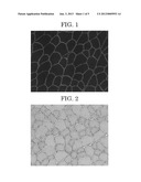 Readthrough Inducing Agent and Drug for Treating Genetic Disease Caused by     Nonsense Mutation diagram and image