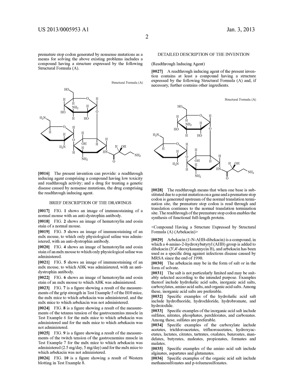 Readthrough Inducing Agent and Drug for Treating Genetic Disease Caused by     Nonsense Mutation - diagram, schematic, and image 08