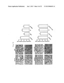 METHODS OF ENHANCING THE RESPONSE TO RADIATION IN TUMOR THERAPY USING     ANTI-DLL4 ANTIBODIES diagram and image