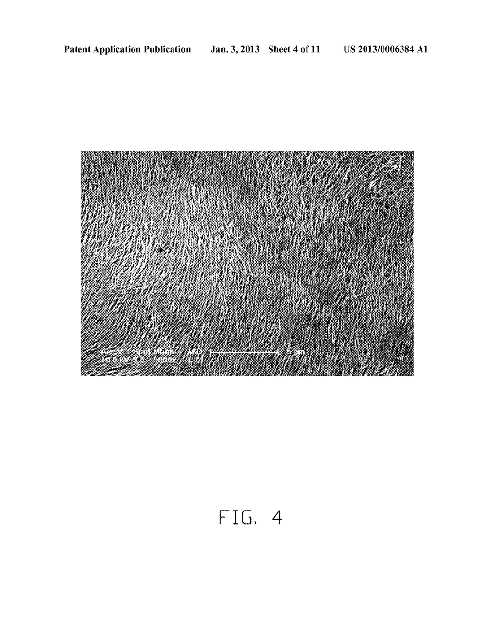 CULTURE MEDIUM, GRAFT, AND MANUFACTURING METHOD THEREOF - diagram, schematic, and image 05