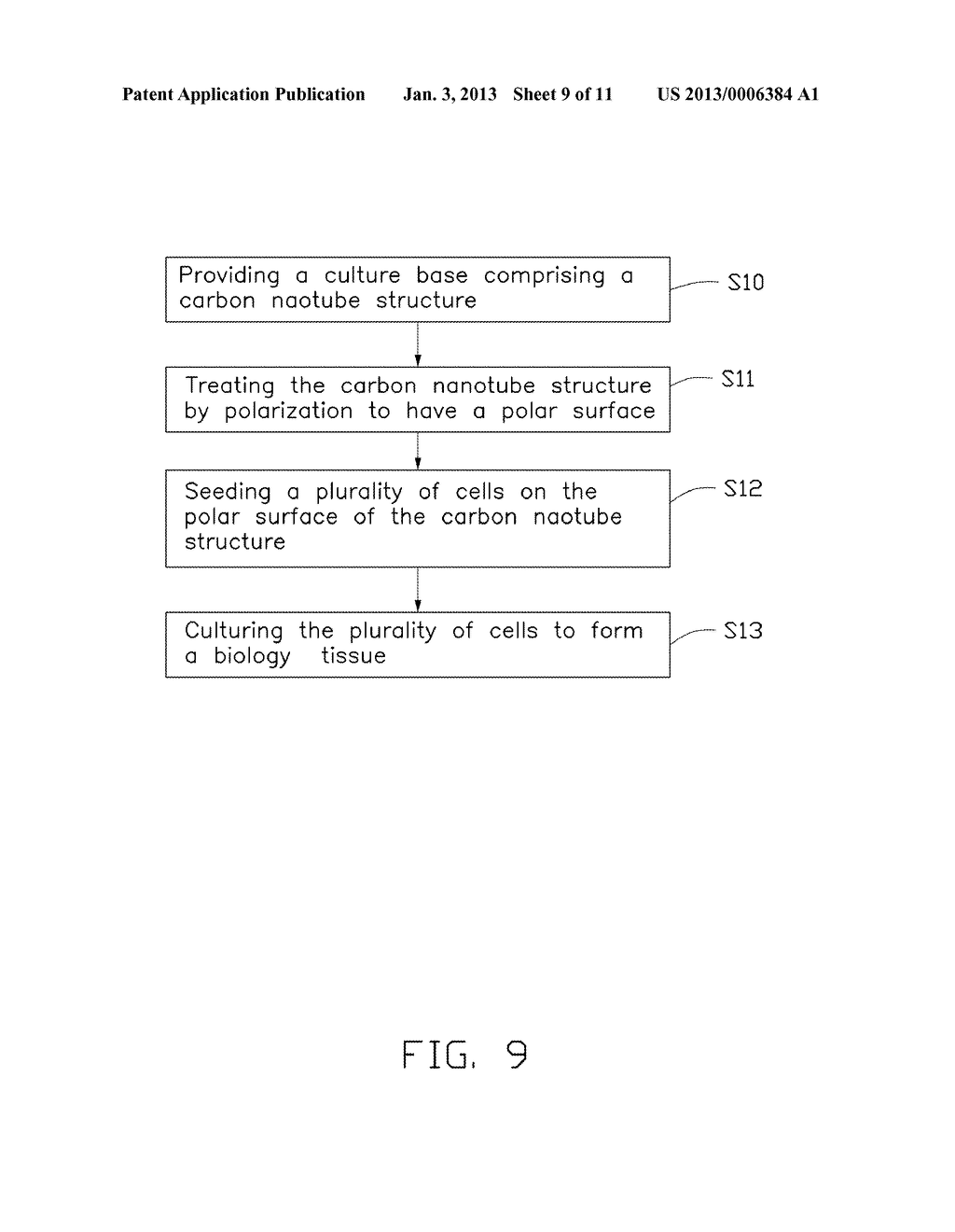 CULTURE MEDIUM, GRAFT, AND MANUFACTURING METHOD THEREOF - diagram, schematic, and image 10