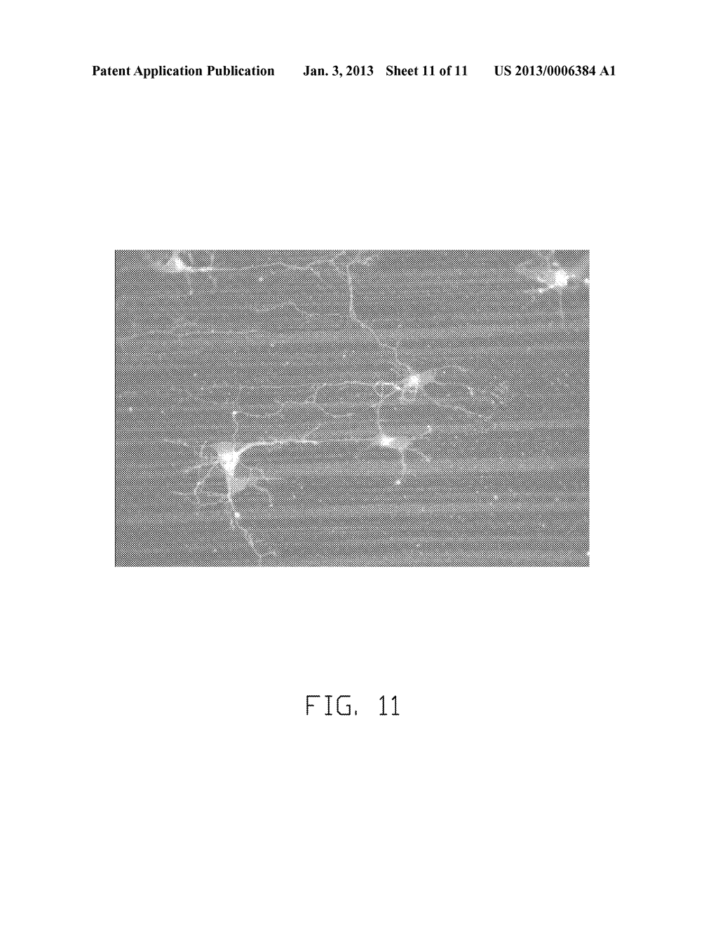 CULTURE MEDIUM, GRAFT, AND MANUFACTURING METHOD THEREOF - diagram, schematic, and image 12