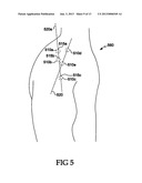 Method and system for organic specimen feature identification in     ultrasound image diagram and image