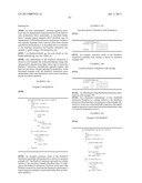 PROCESSING VECTORS USING WRAPPING ADD AND SUBTRACT INSTRUCTIONS IN THE     MACROSCALAR ARCHITECTURE diagram and image