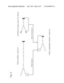 PLANT WITH ENHANCED GROWTH AND METHOD FOR PRODUCING THE SAME diagram and image