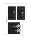 PLANT WITH ENHANCED GROWTH AND METHOD FOR PRODUCING THE SAME diagram and image