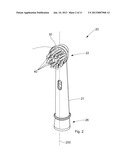 Cleaning Section For An Electric Oral Hygiene Device diagram and image