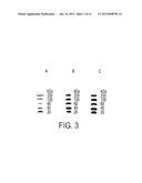 COMPOSITE COMPOSITIONS FOR ELECTROPHORESIS diagram and image