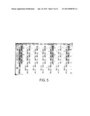 COMPOSITE COMPOSITIONS FOR ELECTROPHORESIS diagram and image