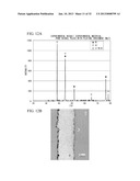 METHOD FOR FORMING OXIDATION RESISTANT COATING LAYER diagram and image