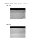 METHOD FOR FORMING OXIDATION RESISTANT COATING LAYER diagram and image