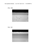 METHOD FOR FORMING OXIDATION RESISTANT COATING LAYER diagram and image