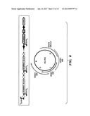 BIOLOGICAL ANALOG-TO-DIGITAL AND DIGITAL-TO-ANALOG CONVERTERS diagram and image