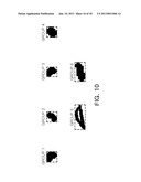 APPARATUS AND METHOD FOR REMOVING RED-EYE IN A TWO-DIMENSIONAL (2D) IMAGE diagram and image