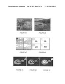 STUDYING AESTHETICS IN PHOTOGRAPHIC IMAGES USING A COMPUTATIONAL APPROACH diagram and image