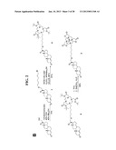 COMPOSITIONS AND METHODS COMPRISING MAGNETIC RESONANCE CONTRAST AGENTS diagram and image