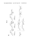 COMPOSITIONS AND METHODS COMPRISING MAGNETIC RESONANCE CONTRAST AGENTS diagram and image