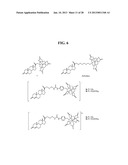 COMPOSITIONS AND METHODS COMPRISING MAGNETIC RESONANCE CONTRAST AGENTS diagram and image