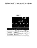 COMPOSITIONS AND METHODS COMPRISING MAGNETIC RESONANCE CONTRAST AGENTS diagram and image