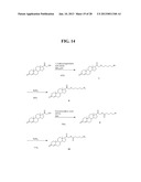 COMPOSITIONS AND METHODS COMPRISING MAGNETIC RESONANCE CONTRAST AGENTS diagram and image