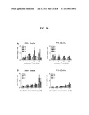 COMPOSITIONS AND METHODS COMPRISING MAGNETIC RESONANCE CONTRAST AGENTS diagram and image