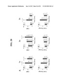 COMPOSITIONS AND METHODS COMPRISING MAGNETIC RESONANCE CONTRAST AGENTS diagram and image