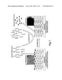 CATIONIC BETAINE PRECURSORS TO ZWITTERIONIC BETAINES HAVING CONTROLLED     BIOLOGICAL PROPERTIES diagram and image