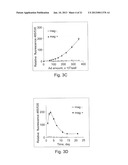 Uniform Field Magnetization and Targeting of Therapeutic Formulations diagram and image