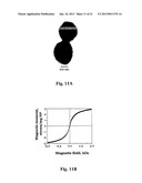 Uniform Field Magnetization and Targeting of Therapeutic Formulations diagram and image