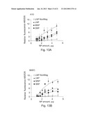 Uniform Field Magnetization and Targeting of Therapeutic Formulations diagram and image