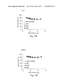 Uniform Field Magnetization and Targeting of Therapeutic Formulations diagram and image