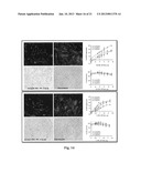 Uniform Field Magnetization and Targeting of Therapeutic Formulations diagram and image