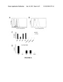 T CELL RECEPTORS SPECIFIC FOR IMMUNODOMINANT CTL EPITOPES OF HCV diagram and image