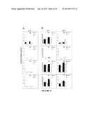 T CELL RECEPTORS SPECIFIC FOR IMMUNODOMINANT CTL EPITOPES OF HCV diagram and image