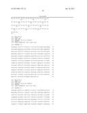 T CELL RECEPTORS SPECIFIC FOR IMMUNODOMINANT CTL EPITOPES OF HCV diagram and image