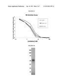 WAP Domain Fusion Polypeptides and Methods of Use Thereof diagram and image