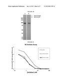 WAP Domain Fusion Polypeptides and Methods of Use Thereof diagram and image