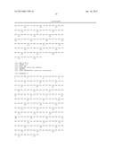 WAP Domain Fusion Polypeptides and Methods of Use Thereof diagram and image