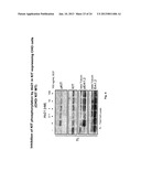 ANTI-KIT ANTIBODIES AND USES THEREOF diagram and image