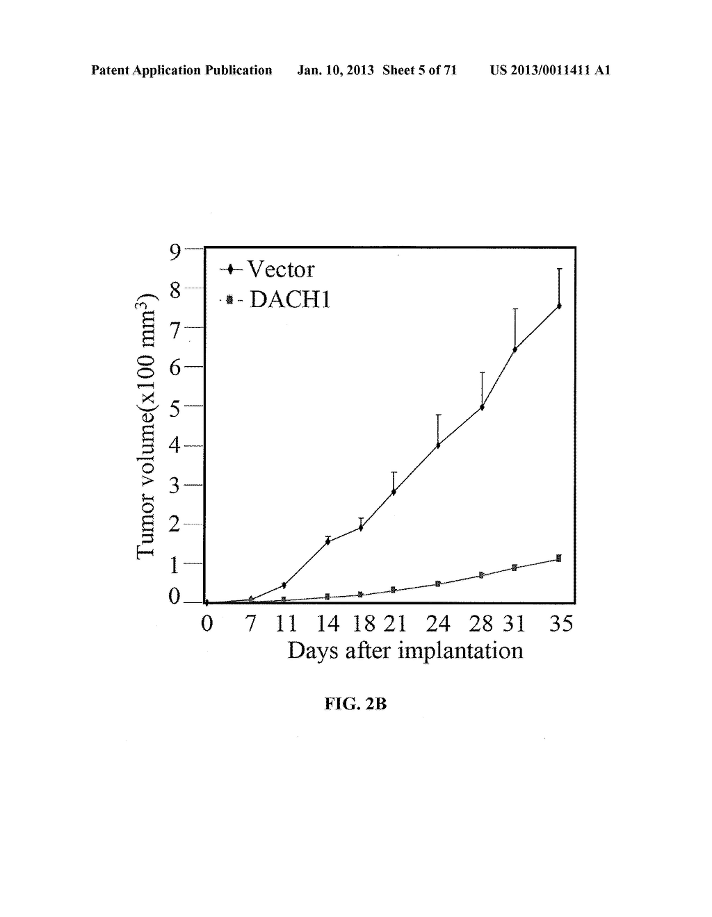 METHODS AND COMPOSITIONS FOR THE DIAGNOSIS, PROGNOSIS, AND TREATMENT OF     CANCER - diagram, schematic, and image 06